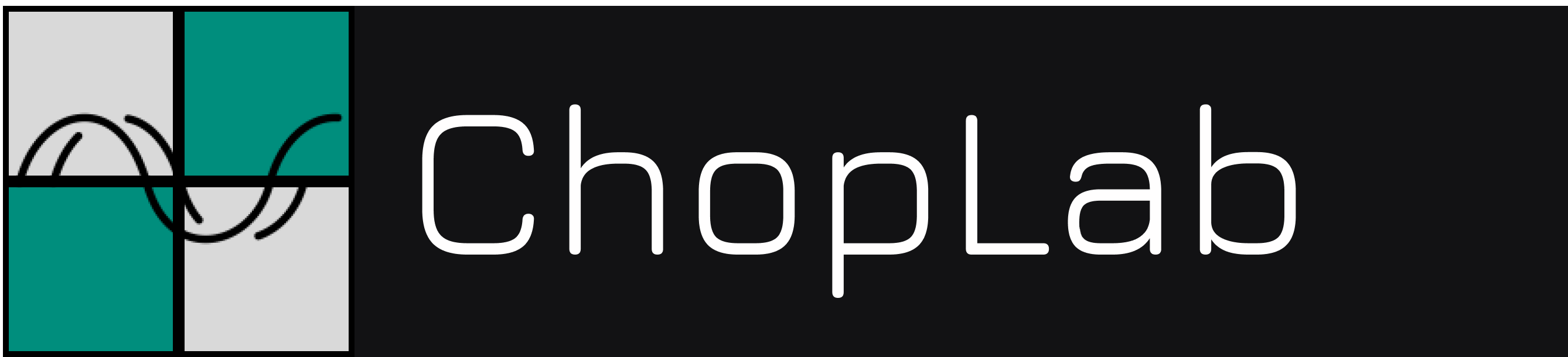 Website Logo